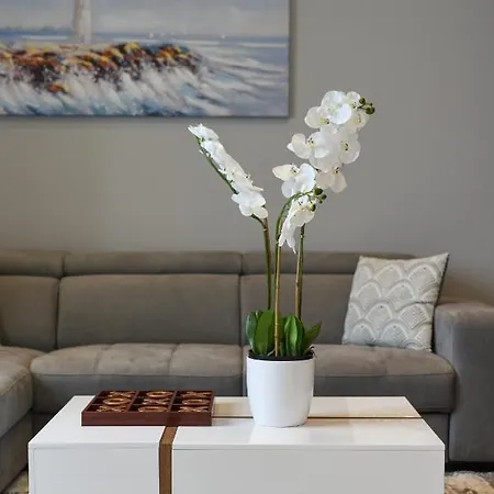 Sea Organ Paradise * Zadar