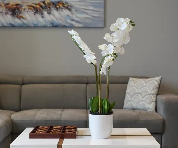 Sea Organ Paradise * 扎达尔